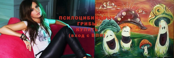 стафф Беломорск