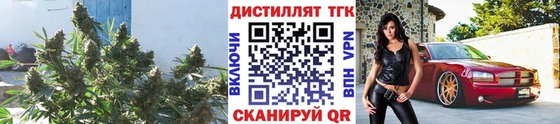 ТГК Wax  Верхотурье 