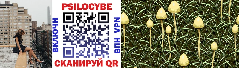 Псилоцибиновые грибы Psilocybine cubensis  Верхотурье 
